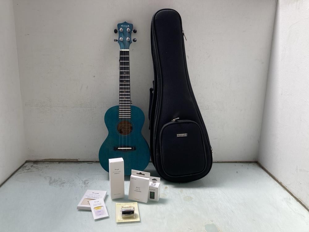 QTY OF ASSORTED ENYA ITEMS TO INCLUDE ENYA BLUE SO