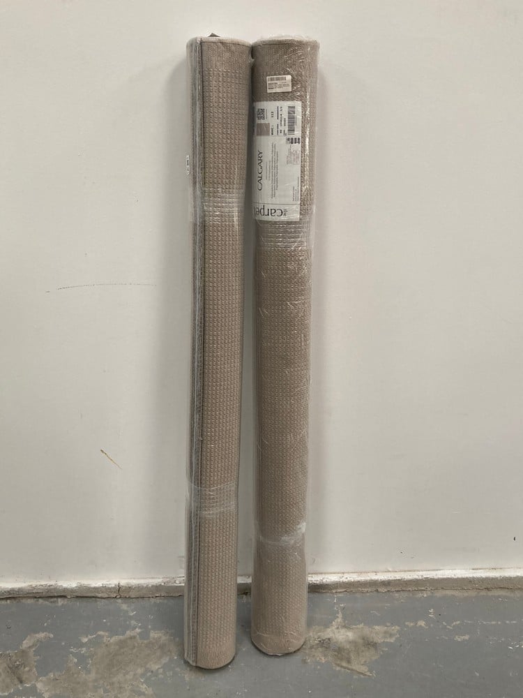 2 X THE CARPET CALGARY - STURDY OUTDOOR RUG, FLAT-