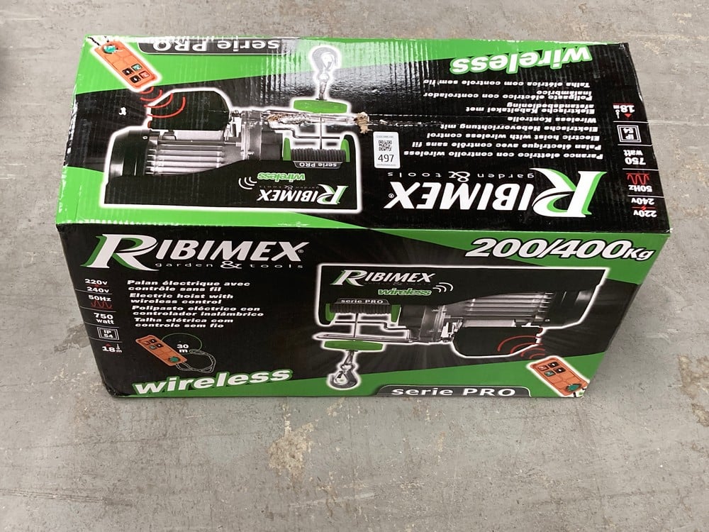 RIBIMEX PRO SERIES 200/400 KG ELECTRIC HOIST WITH 