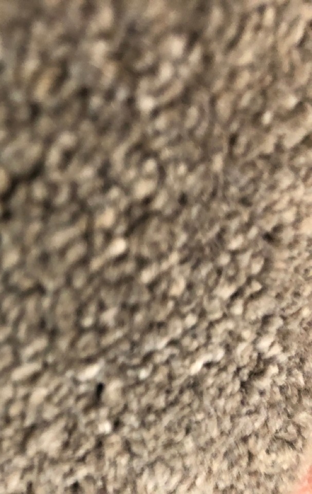 John Pye Auctions OTTOWA 231 SUNSET POINT CARPET APPROX LENGTH 5M COLLECTION ONLY LOCATION