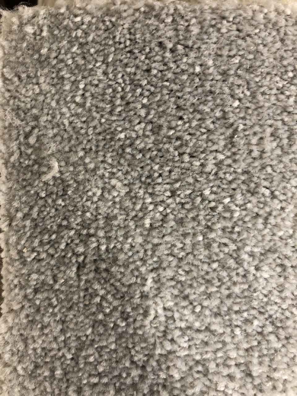 John Pye Auctions ARES CHROME COLOURED CARPET APPROX WIDTH 5M COLLECTION ONLY LOCATION