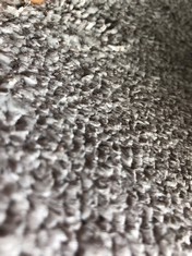 CANBERRA GREIGE COLOURED CARPET APPROX WIDTH 4M - COLLECTION ONLY - LOCATION CARPET RACKS