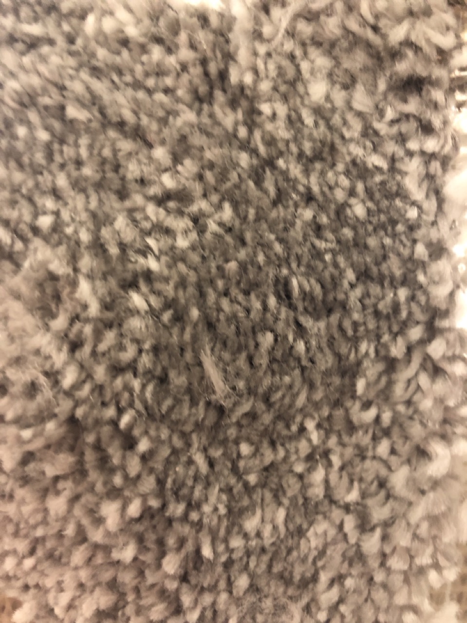 John Pye Auctions NOBLE DREAMS AB CARPET APPROX WIDTH 5M COLLECTION