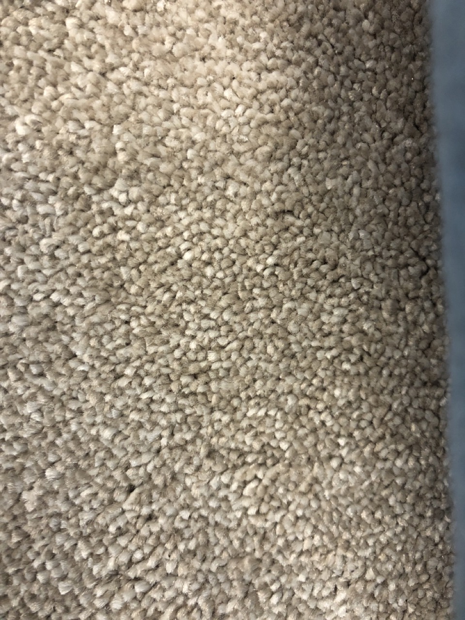 John Pye Auctions SOFT NOBLE CARPET UT 2945/0690 APPROX WIDTH 5M COLLECTION ONLY LOCATION