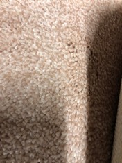 SOFT NOBLE CARPET AB 2945/0012 APPROX WIDTH 5M - COLLECTION ONLY - LOCATION FLOOR