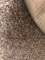 NOBLE HEATHERS CARPET AB/0695 APPROX WIDTH 5M  - COLLECTION ONLY - LOCATION FLOOR