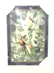 4 X ASSORTED PICTURES INCLUDING TROPICAL TOUCANS PICTURE IN BLACK FRAME .