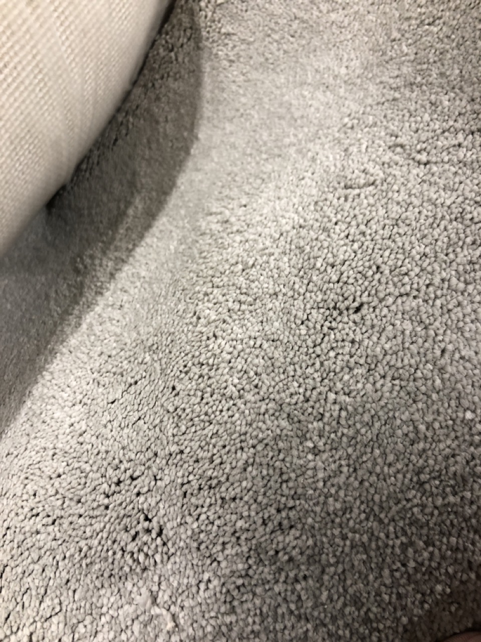 John Pye Auctions VICTORIA CARPETS FIRST IMPRESSIONS COLOUR CLOSE