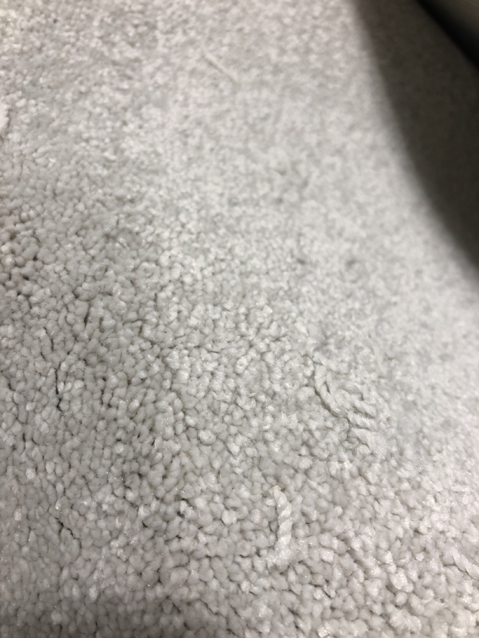 John Pye Auctions VICTORIA CARPETS FIRST IMPRESSIONS COLOUR