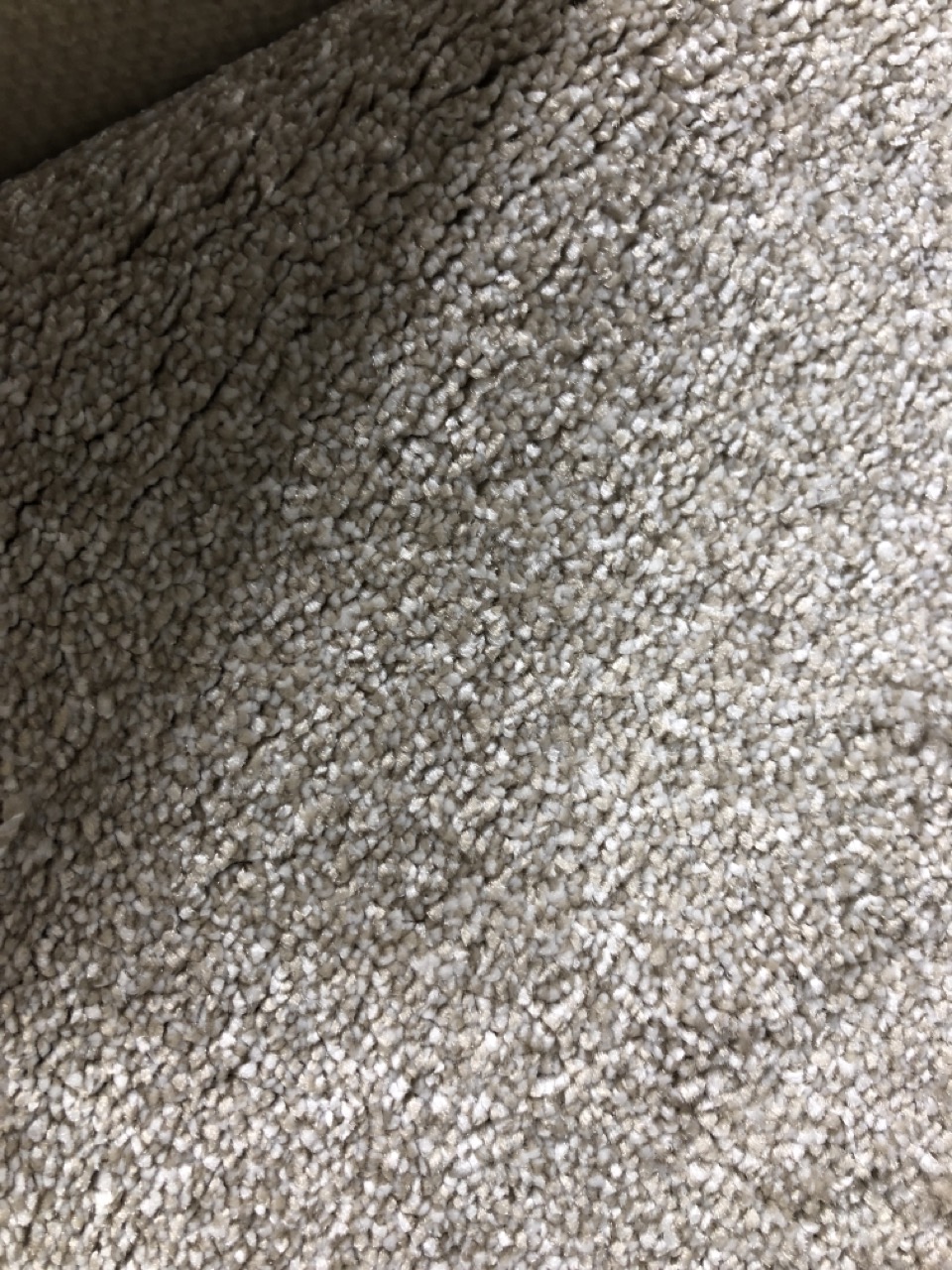 John Pye Auctions VICTORIA CARPETS FIRST IMPRESSIONS COLOUR