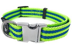 94 X MEDIUM LIME GREEN/BLUE STRIPE PET COLLAR WITH METAL BUCKLE AND D RING | DURABLE ADJUSTABLE DOG COLLAR, REINFORCED METAL CLASP & NYLON WEBBING| OTHER SIZES FOR SMALL & LARGE DOGS - TOTAL RRP £673
