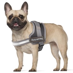 QTY OF ASSORTED ITEMS TO INCLUDE DOG HARNESS GREY SIZE S RRP £150: LOCATION - C RACK