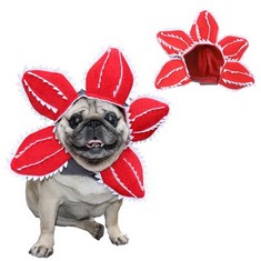 QTY OF ASSORTED ITEMS TO INCLUDE DOG HALLOWEEN PET COSTUME FLOWER COSPLAY SIZE L: LOCATION - C RACK