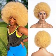 QTY OF ASSORTED ITEMS TO INCLUDE SHORT BLONDE KINKY AFRO WIG: LOCATION - D RACK