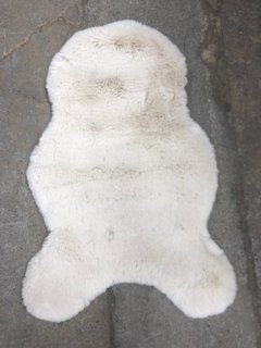 THINK RUGS SUPER TEDDY RUG IN IVORY - SIZE 60 X 90CM: LOCATION - BR5