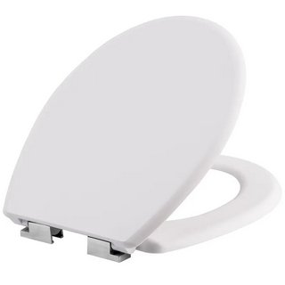 BATHROOM TOILET SEAT IN WHITE: LOCATION - BR14