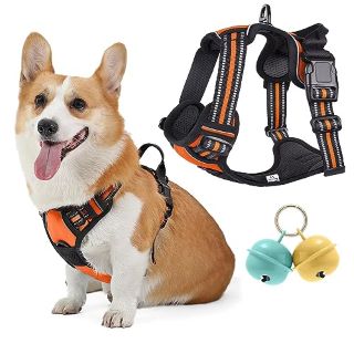 22 X BELABABY DOG VEST HARNESSES, NO PULL DOG HARNESS MEDIUM FRONT CLIP DOG HARNESS WITH FRONT BACK CLIPS, REFLECTIVE ADJUSTABLE SOFT PADDED DOG PUPPY HARNESS WITH LOVELY BELLS, ORANGE - TOTAL RRP £2