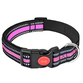 41 X UMI DOG COLLAR, ADJUSTABLE BASIC DOG COLLAR WITH SAFETY LOCKING BUCKLE AND SOFT NEOPRENE PADDED, DURABLE NYLON PET COLLARS FOR PUPPY SMALL MEDIUM LARGE DOGS - TOTAL RRP £200: LOCATION - F