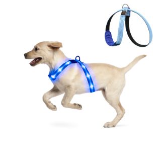 22 X KOSKILL LIGHT UP DOG HARNESS AT NIGHT WALKING, NO PULL LED DOG HARNESS, WATERPROOF ADJUSTABLE RECHARGEABLE LIGHTED DOG HARNESS, GLOW IN THE DARK DOG HARNESS FOR MEDIUM LARGE DOGS,BLUE MEDIUM - T