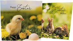QTY OF ITEMS TO INLCUDE BOX OF X30 ASSORTED ITEMS TO INCLUDE 8X HAPPY EASTER CARDS WITH ENVELOPES (PHOTO BUNNY & CHICK), CAMPING PEGS & EXTRACTOR | 9PCS.. (DELIVERY ONLY)