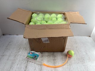 BOX OF TENNIS BALLS TO INCLUDE BALL LAUNCHER FOR DOGS: LOCATION - B13