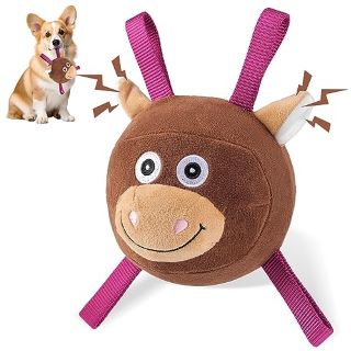 QTY OF ASSORTED ITEMS TO INCLUDE COW HEAD TOY RRP £259: LOCATION - A