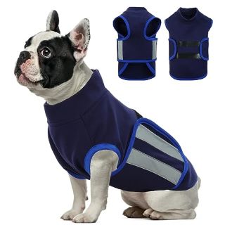 QTY OF ASSORTED ITEMS TO INCLUDE RAINCOAT FOR DOGS RRP £250: LOCATION - A