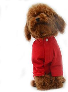 16 X LOVELONGLONG FOUR FEET DOG LIGHTWEIGHT PAJAMAS, PURE COTTON DOG JUMPSUITS 4 LEGS DOG ONESIES T-SHIRT STYLISH PJS PUPPY COSTUME FOR LARGE MEDIUM SMALL DOGS RED S - TOTAL RRP £280: LOCATION - A