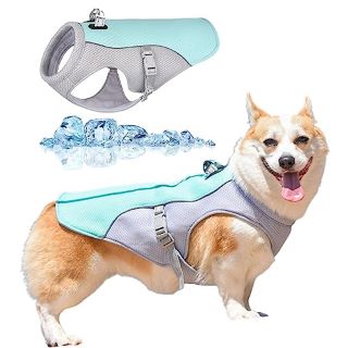 QTY OF ASSORTED ITEMS TO INCLUDE DOG COOLING VEST FOR SMALL TO MEDIUM DOGS RRP £480: LOCATION - H