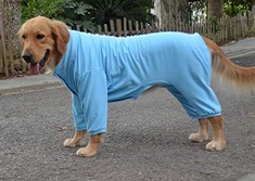 QTY OF ASSORTED DOG CLOTHES TO INCLUDE COTTON PAJAMAS SKY BLUE SIZE XXL RRP £263: LOCATION - C RACK