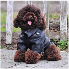 QTY OF ASSORTED ITEMS TO INCLUDE LEATHER DOG JACKET BLACK 5XL : LOCATION - F RACK