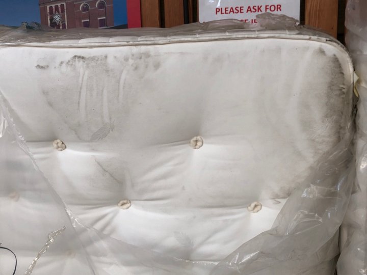 John Pye Auctions JOHN LEWIS & PARTNERS NATURAL COLLECTION EGYPTIAN