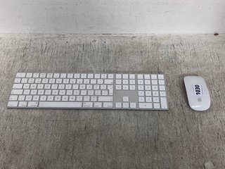 APPLE KEYBOARD WITH WIRELESS MOUSE: LOCATION - G8