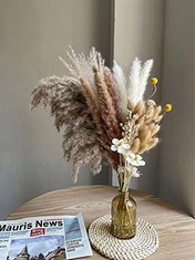 QTY OF ITEMS TO INCLUDE NATURAL DRIED PAMPAS GRASS: LOCATION - C