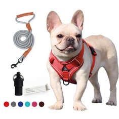 40 X COSY LIFE DOG HARNESS NO-PULL ADJUSTABLE PET HARNESS WITH 2 LEASH CLIPS, REFLECTIVE BREATHABLE SOFT AIR MESH DOG VEST + LEASH, NO-CHOKE PET VEST HARNESS (RED HARNESS + GREY LEASH, M) - TOTAL RRP