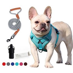 50 X COSY LIFE DOG HARNESS NO-PULL ADJUSTABLE PET HARNESS WITH 2 LEASH CLIPS, REFLECTIVE BREATHABLE SOFT AIR MESH DOG VEST + LEASH, NO-CHOKE PET VEST HARNESS (TEAL HARNESS + GREY LEASH, S) - TOTAL RR