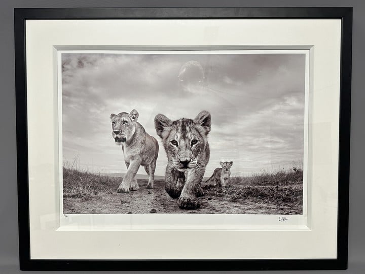 On The Move By Anup Shah, Framed Print, Signed And Numbered By The Artist 54/150, Image Size 28"x19" Frame Size 38"x30" (VAT ONLY PAYABLE ON BUYERS PREMIUM)