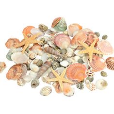 30 X 120 PCS SEA SHELLS MIXED BEACH SEASHELLS 12 KINDS OF SHELLS COLORFUL SEASHELLS WITH STARFISH FOR HOME DECORATION, DIY CRAFTS, FISH TANK AND VASE FILLER (MULTI)-350G. (DELIVERY ONLY)