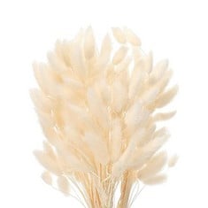 12 X JKDHJK 50 STICKS PAMPAS GRASS DRIED FLOWERS NO ODOR NEVER WITHER DRIED FLOWERS BOUQUET BOHO DECOR EXTRA FLUFFY DECORATIVE HOME ACCESSORIES (WHITE) - TOTAL RRP £103: LOCATION - B RACK