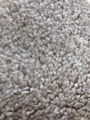 SHEPHERD TWIST 650 IVORY PEARL CARPET APPROX WIDTH 5M - COLLECTION ONLY - LOCATION FLOOR