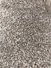 KINGSDALE TWIST AB CARPET APPROX 5M WIDTH - COLLECTION ONLY - LOCATION FLOOR