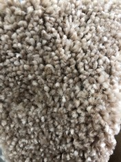 SOFT SPLENDID UT CARPET APPROX 4M WIDTH - COLLECTION ONLY - LOCATION FLOOR