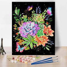 30 X TISHIRON DIY PAINT BY NUMBER FOR ADULTS SUCCULENT, BUTTERFLY PAINT BY NUMBERS FOR ADULTS BEGINNER, COLORFUL FLOWER PLANT PRINT ART PAINT BY NUMBERS KITS GIFT FOR HOME DECOR FRAMELESS 16X20 INCH