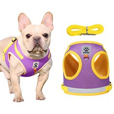 18 X DOG HARNESS SMALL DOG HARNESS AND LEAD SETS CAT HARNESS VEST CHEST STRAP BREATHABLE MESH SOFT FABRIC FOR PUPPY HARNESS SMALL DOG OUTDOOR WALKING TRAINING , PURPLE, S - TOTAL RRP £135:: LOCATION