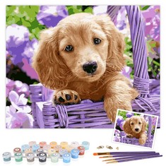 14 X TAHEAT DIY PAINT BY NUMBERS KIT FOR ADULTS BEGINNER, ANIMALS PAINTING BY NUMBERS ON CANVAS DIY ACRYLIC PAINTING 16X20 INCH - CUTE DOG WITHOUT FRAME - TOTAL RRP £156: LOCATION - A