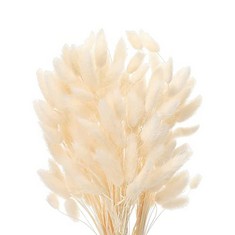 43 X JKJK 50 STICKS PAMPAS GRASS DRIED FLOWERS NO ODOR NEVER WITHER DRIED FLOWERS BOUQUET BOHO DECOR EXTRA FLUFFY DECORATIVE HOME ACCESSORIES (WHITE) - TOTAL RRP £371: LOCATION - F RACK