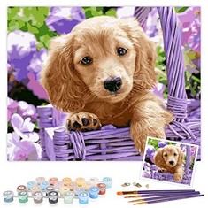 10 X TAHEAT DIY PAINT BY NUMBERS KIT FOR ADULTS BEGINNER, ANIMALS PAINTING BY NUMBERS ON CANVAS DIY ACRYLIC PAINTING 16X20 INCH - CUTE DOG WITHOUT FRAME - TOTAL RRP £111: LOCATION - F RACK
