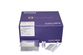16x ALPHA-GENE VIRAL DNA / RNA EXTRACTION KITS RRP £760 EACH