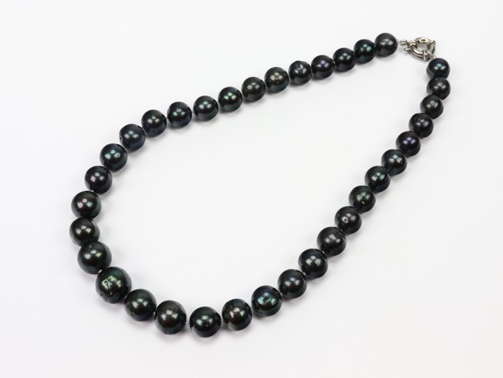 Copper Clasp Peacock Black Freshwater Pearl AAAA 12-14.5mm Necklace, 46cm, 86g (VAT Only Payable on Buyers Premium)