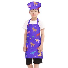 QTY OF KIDS CLOTHING TO INCLUDE BIGHAS KIDS APRON AND CHEF HAT BLUE DINOSAUR S - RRP £250: LOCATION - C